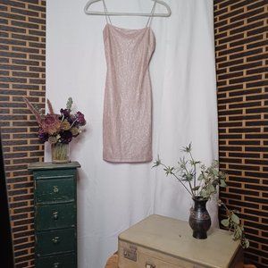 Windsor Glittering Nude/ Light Pink Mini Party Dress - Size small